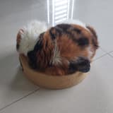房貸一族ing