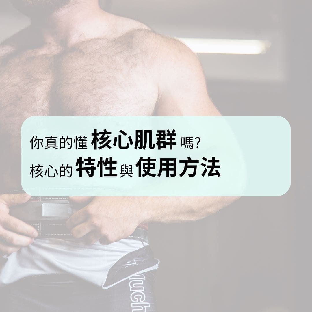 #討論 核心用力!核心出力!!腰椎穩定!!! - 健身板 | Dcard
