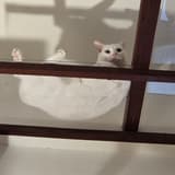 hallo_212
