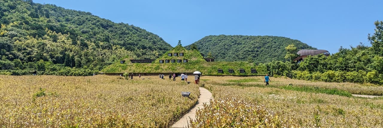 木漏れ日-在日生活日常