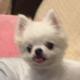 年年
