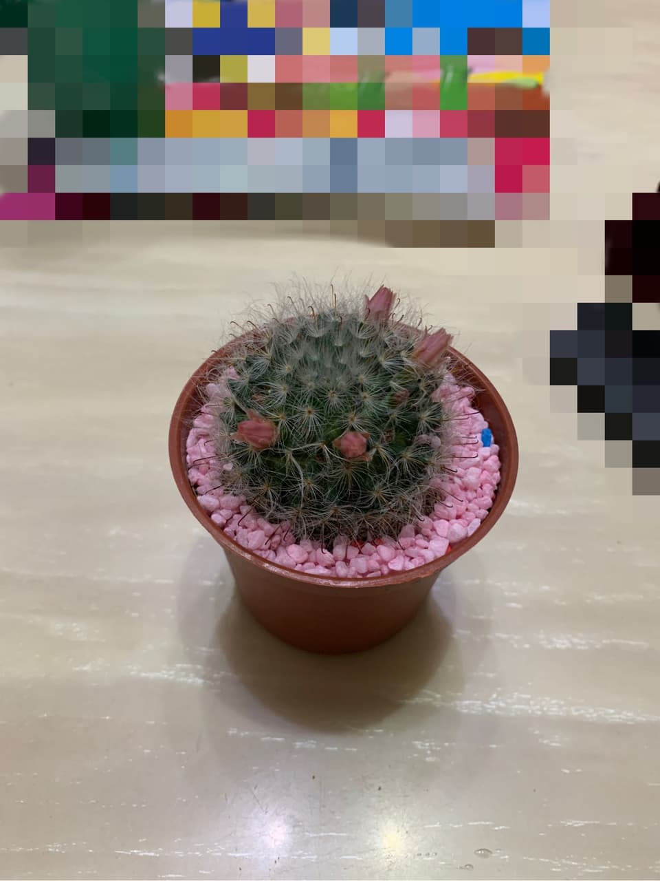 megapx