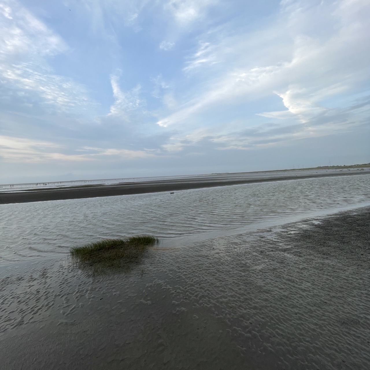 國內遊記 高美濕地半日遊～