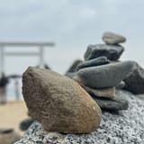 史丹佛大學