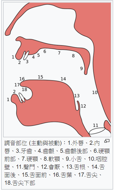 重新認識注音符號+語音學 - 語言板 | Dcard