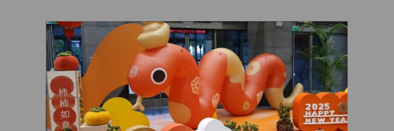 貧窮貴公主