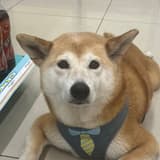 ray_lee_078