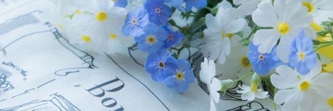 湯圓🌸