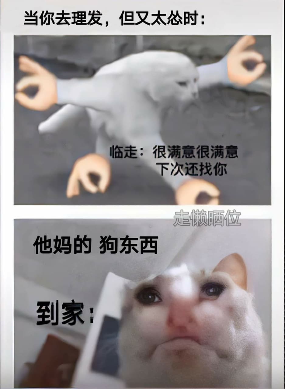 你们是不是也这样