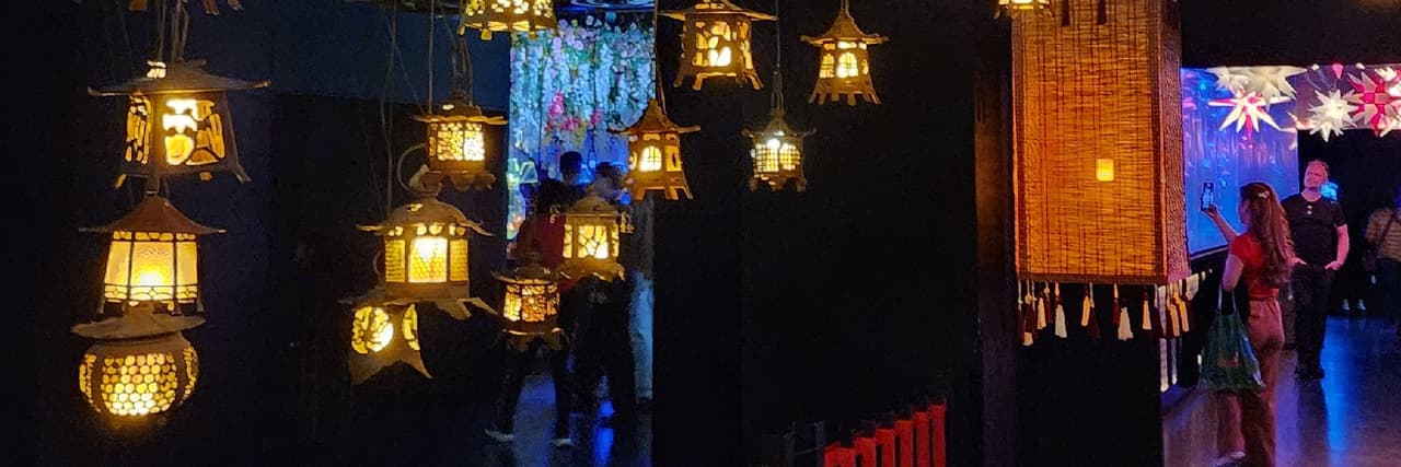 香草菲菲