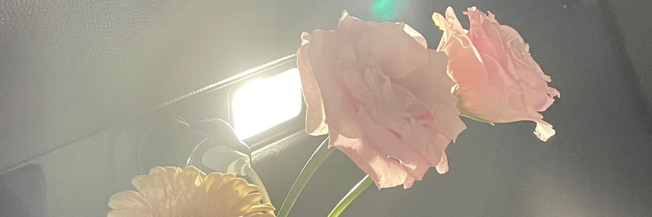噗嚕噗嚕