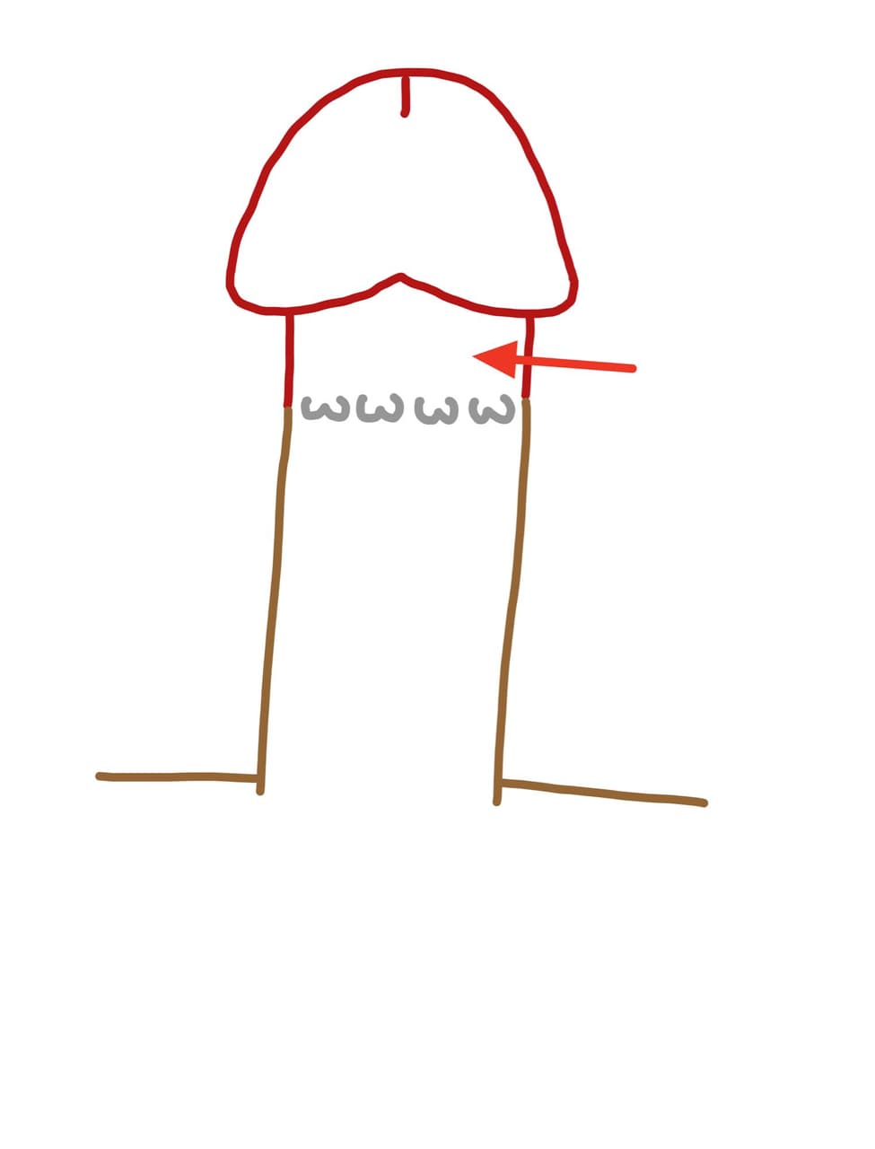 megapx