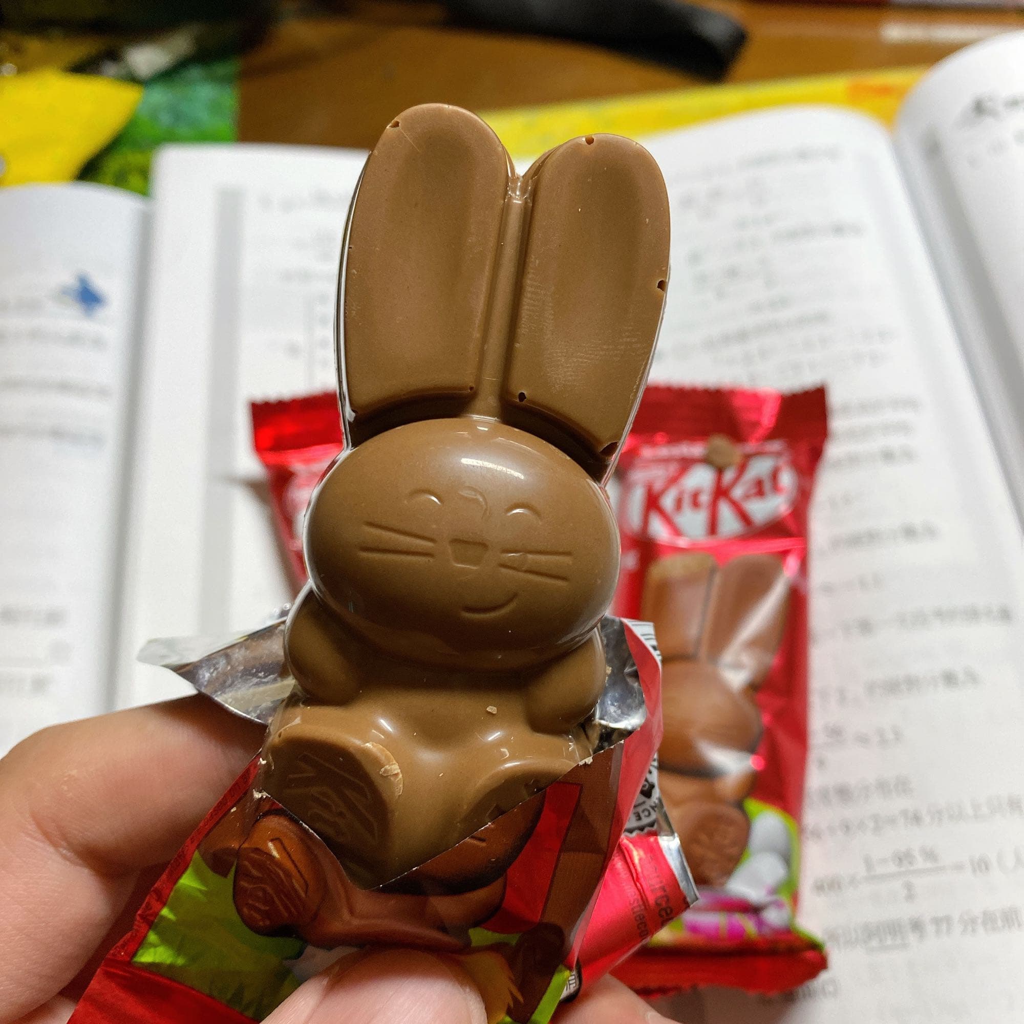 螞蟻人快購入！KitKat推出復活節限定「小兔兔巧克力」可愛到瘋掉～網友透露在這間買得到♡ | GirlStyle 台灣女生日常