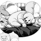 pp0510