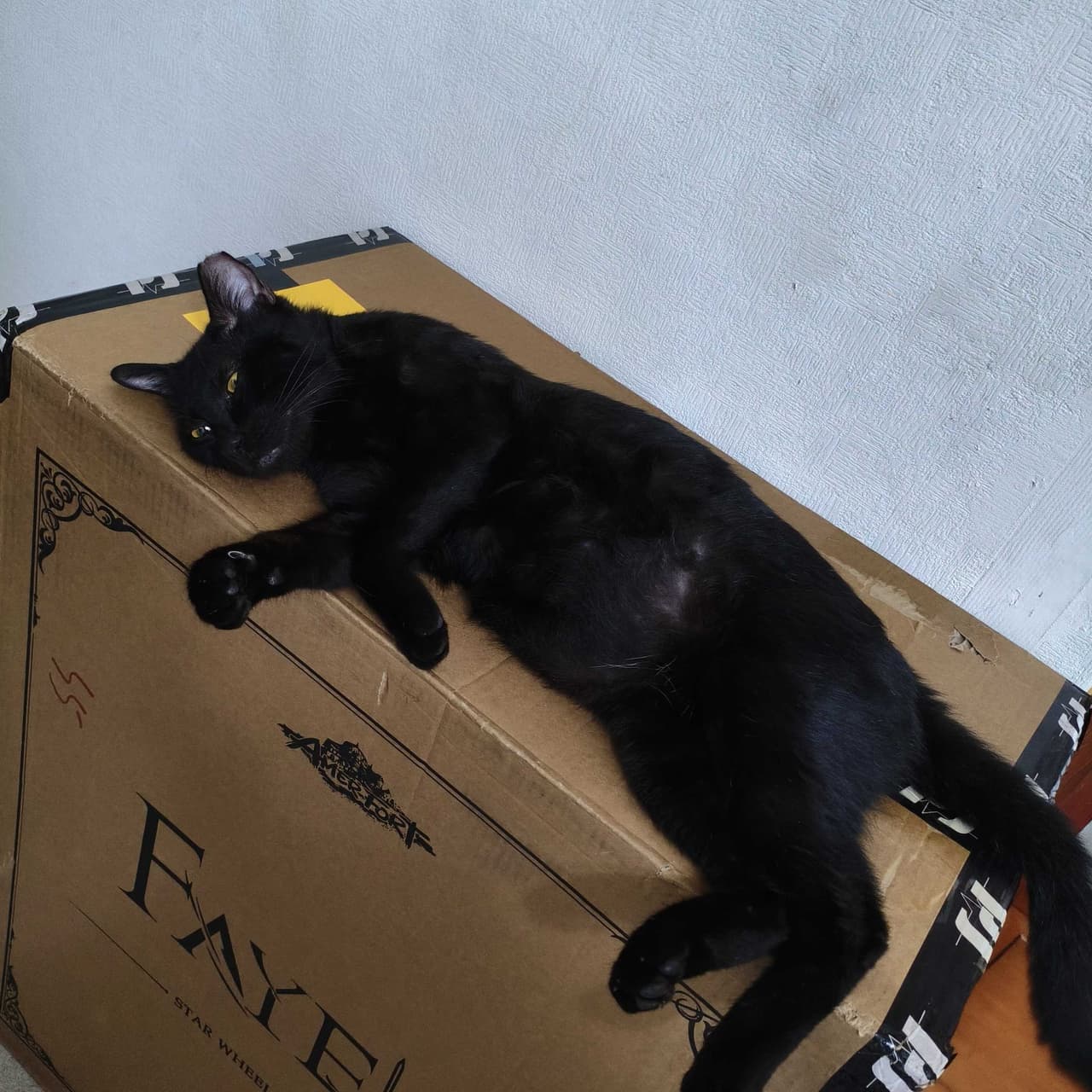 megapx