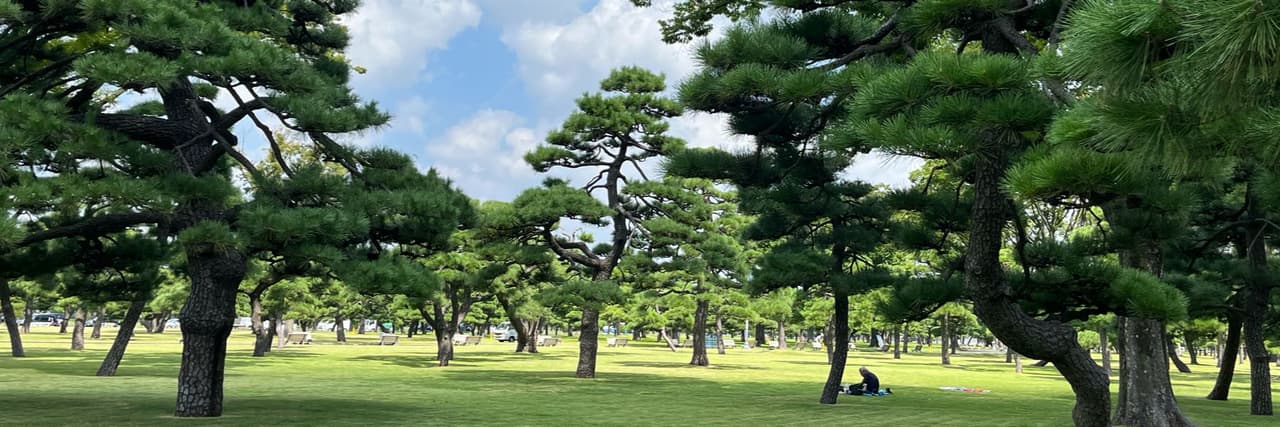 香草橘子