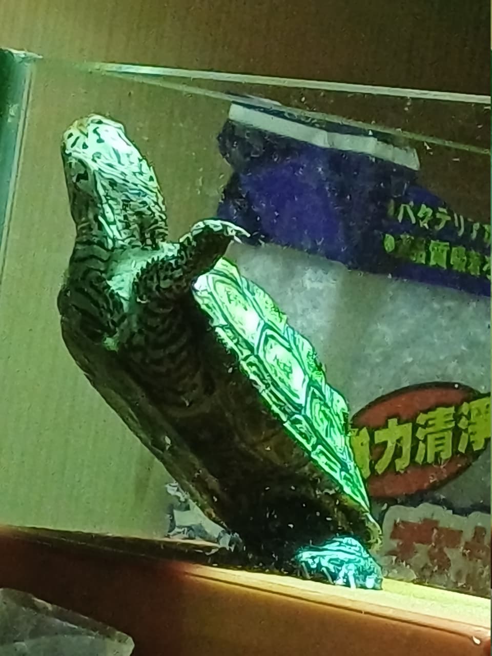 megapx