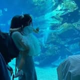 媽咪