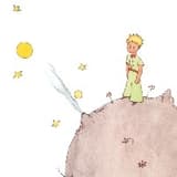 小王子🛰️
