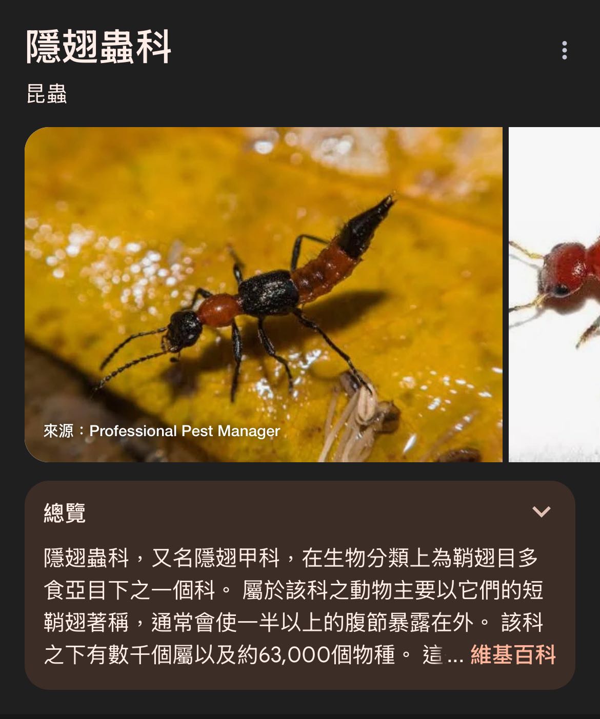 月虫55MD沈7個　66MD浮6個　66MD沈2個 orig.jpeg