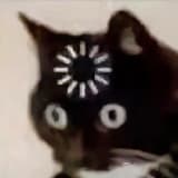 watson__