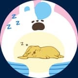 污污小女子