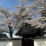 京都攝影師魏