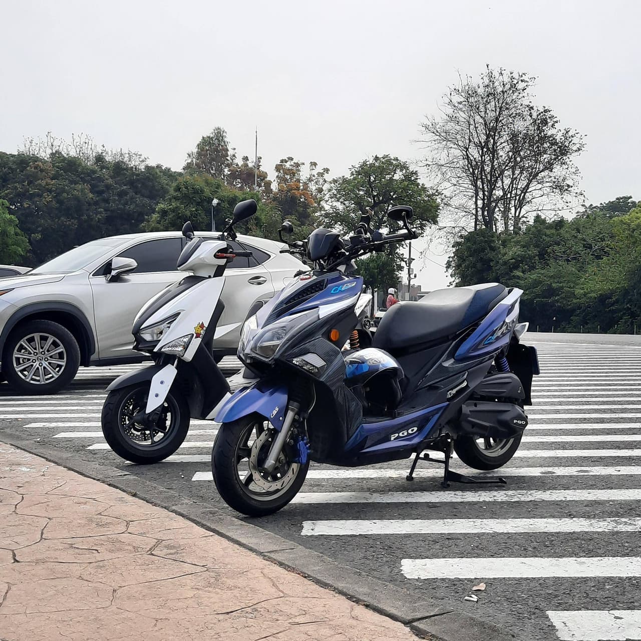 問題PGO alpha max 推薦嗎- 機車板| Dcard