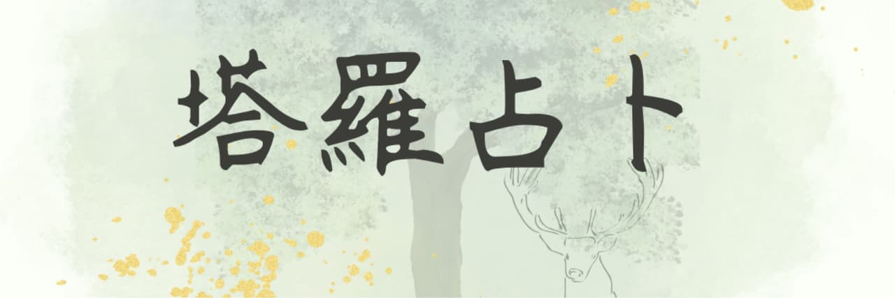 SHUO | Beauty x Tarot