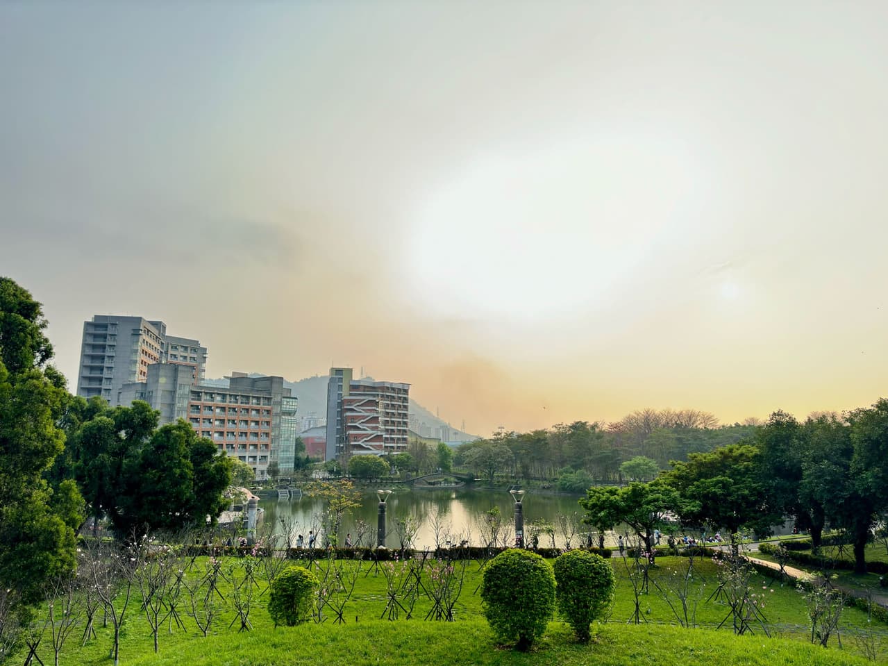 分享校園(公園)的美麗景色 - 臺北大學板 | Dcard