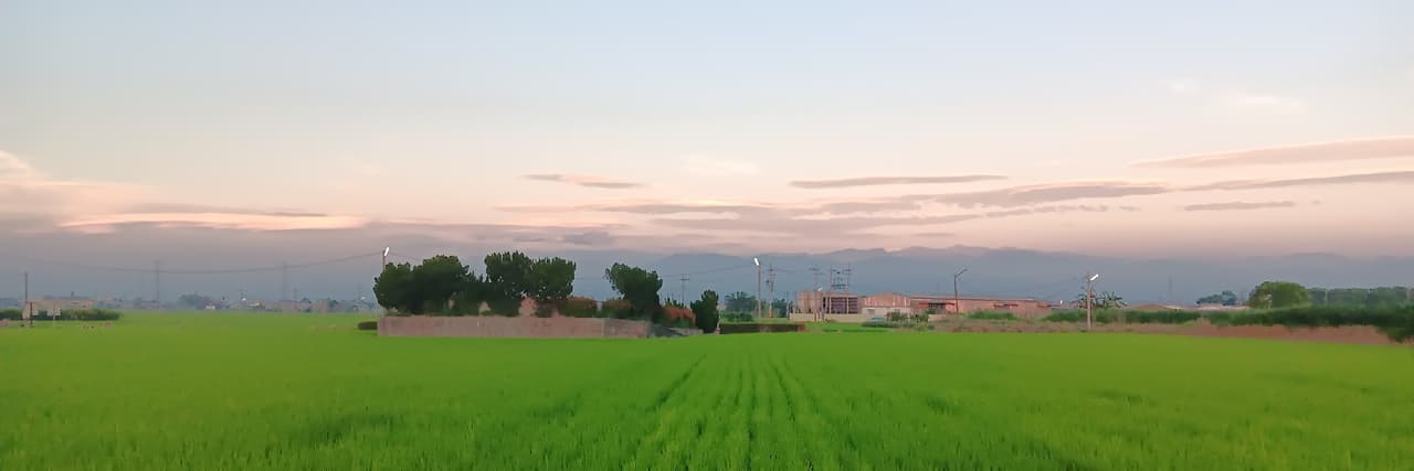 貓也大大