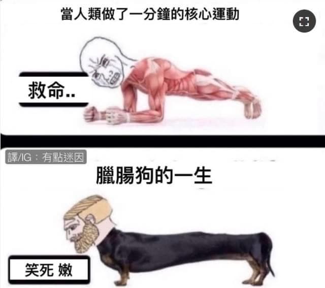 😂 - 梗圖板 | Dcard