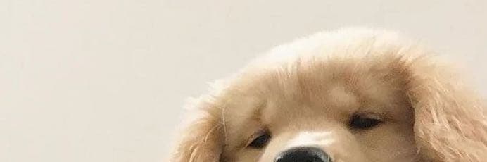 🥚🧀