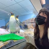 腰果姬(๑´•ω•`๑)