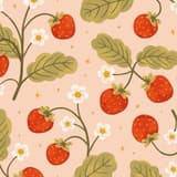 草莓🍓