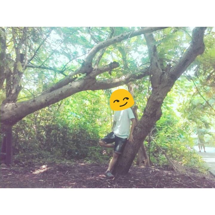 megapx