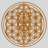 卡密和你拉拉手—Cami