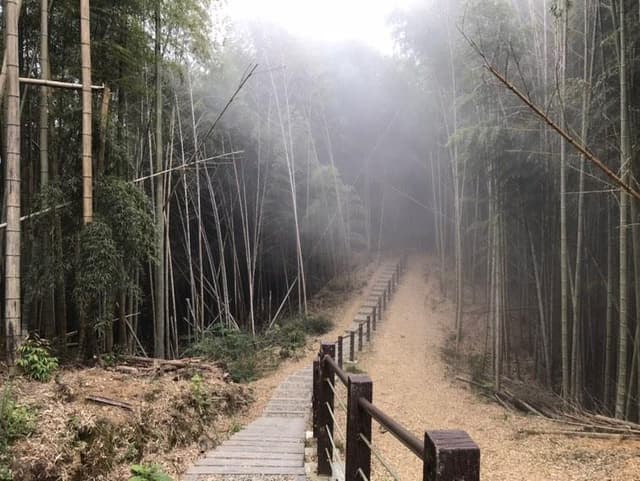 以為雲林是旅遊沙漠 - 國立雲林科技大學板 | Dcard