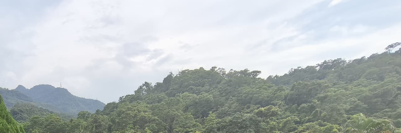 你不要過來...