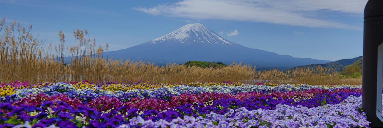 RuRu