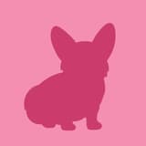 ashley_516406