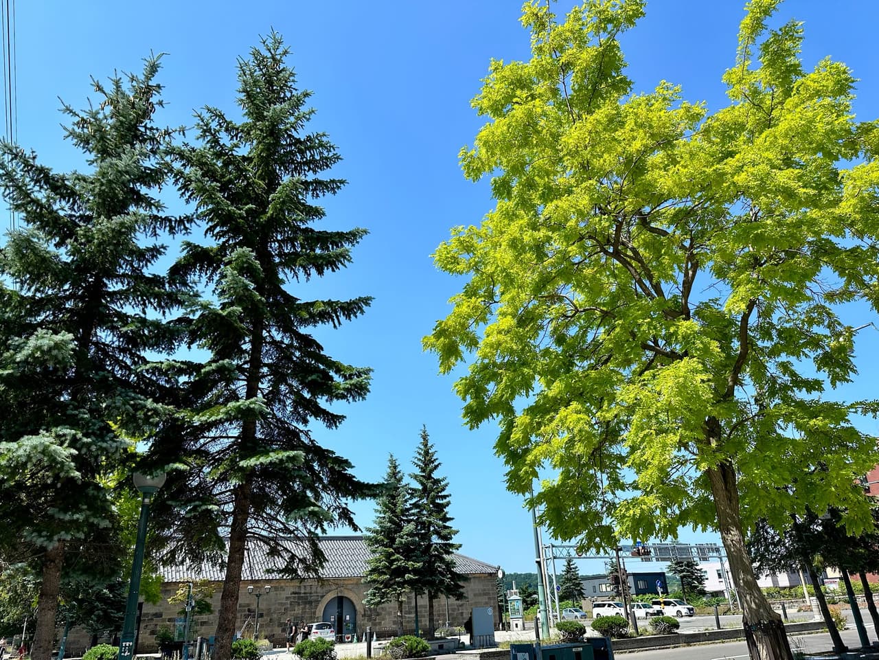 megapx