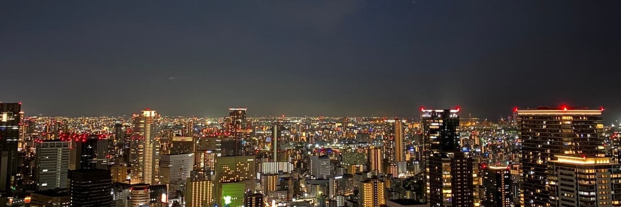 吳花果