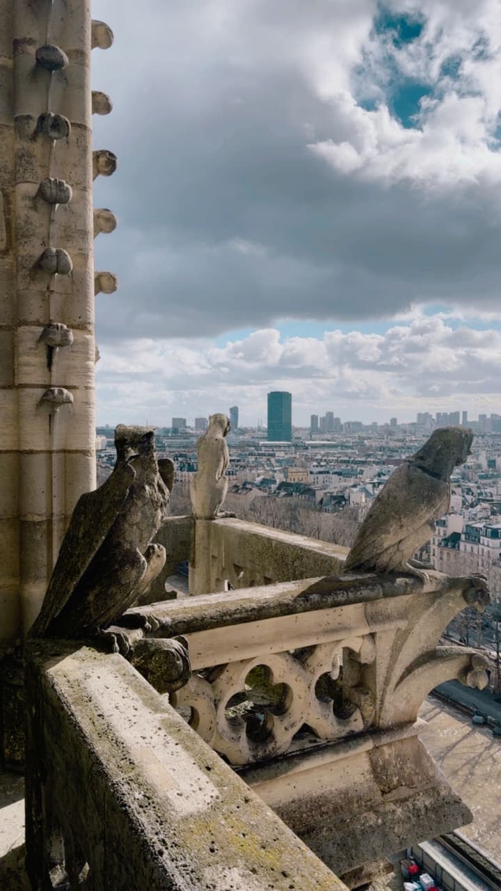 megapx