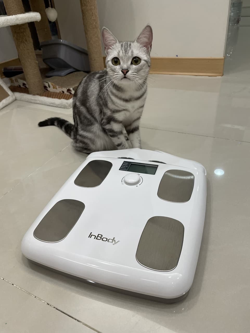 megapx