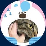 喵喵