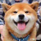 夏凝霜