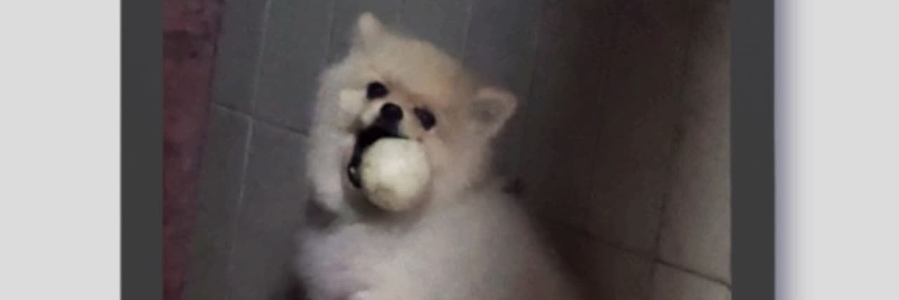 沒上璀璨不改名