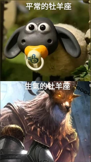 牡羊座的請舉手 梗圖板 Dcard