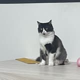 fifi0707